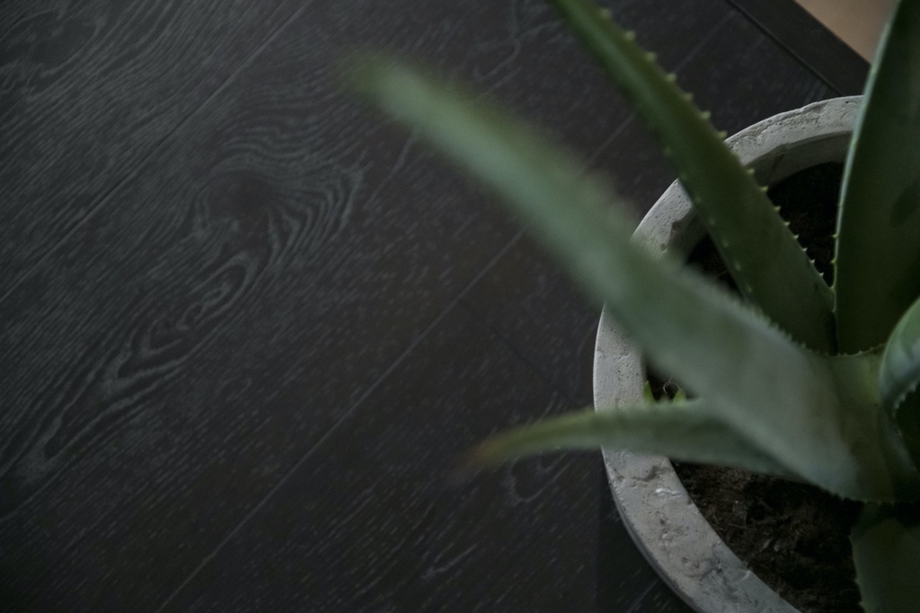 F022-INT6 Black Beauty LD.jpg