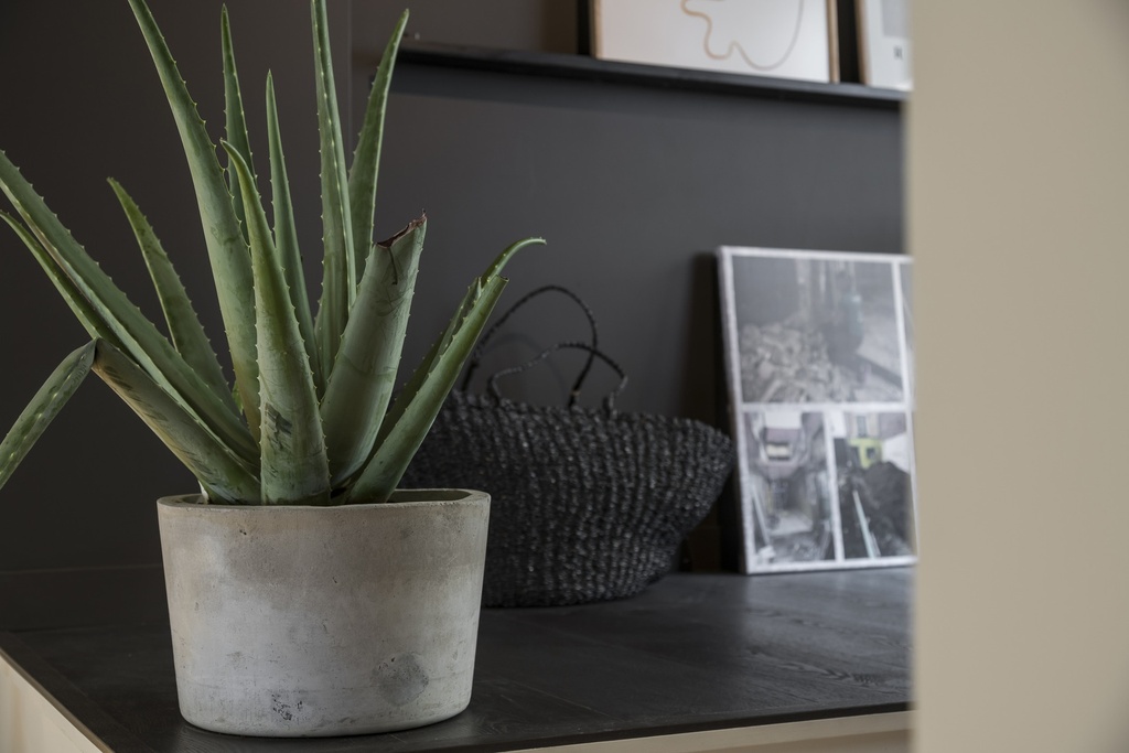 F022-INT2 Black Beauty HD.jpg